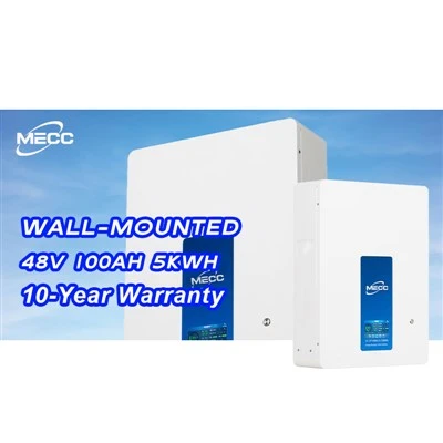48v 100AH ​​200AH Bms LiFePO4 Battery